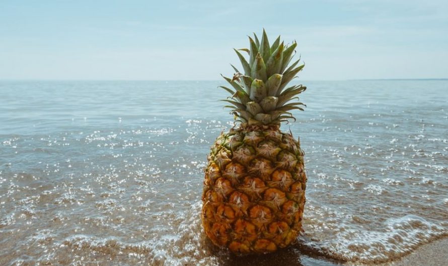 12 symbolic meanings of dreaming about pineapples