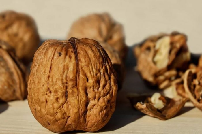 25 symbolic meanings of dreaming about eating walnuts