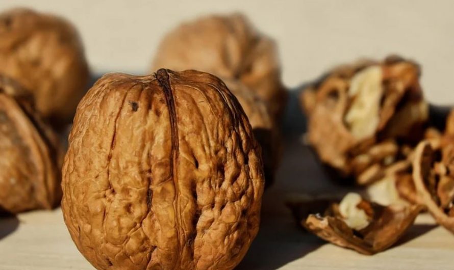 25 symbolic meanings of dreaming about eating walnuts