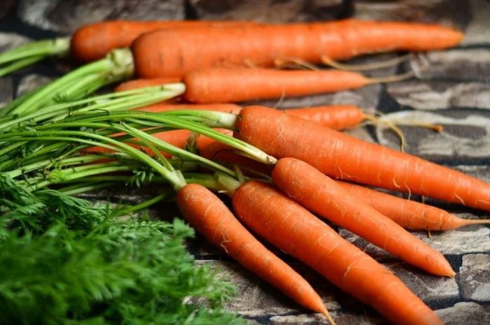 23 symbolic meanings of dreaming about carrots