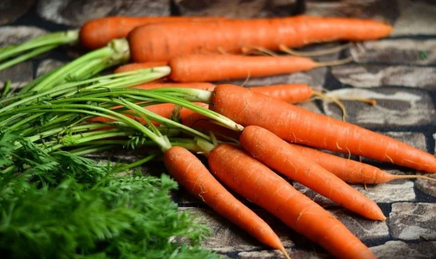 23 symbolic meanings of dreaming about carrots