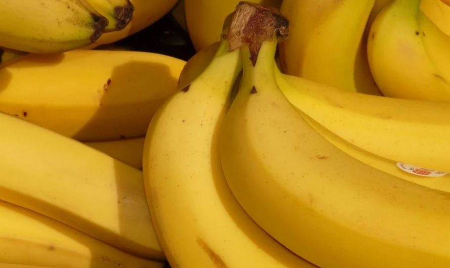 15 symbolic meanings of dreaming about bananas