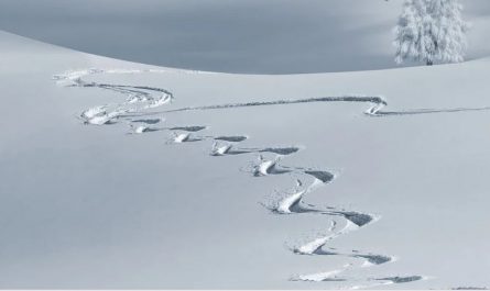 25 symbolic meanings of dreaming about snowfall