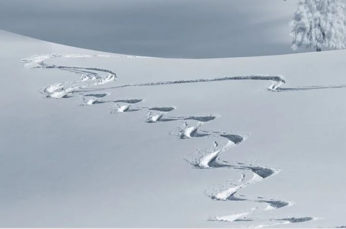 25 symbolic meanings of dreaming about snowfall