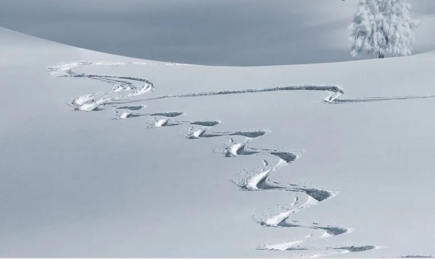 25 symbolic meanings of dreaming about snowfall