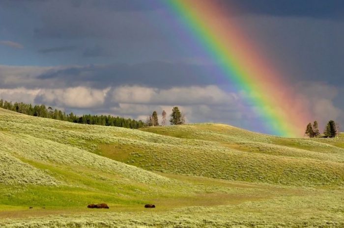 13 Symbolic Meanings of Dreaming of a Rainbow
