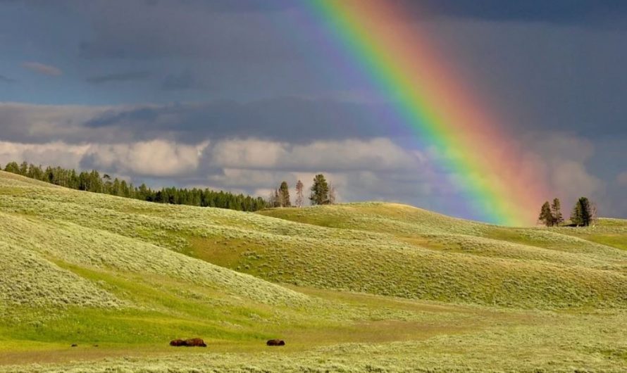 13 Symbolic Meanings of Dreaming of a Rainbow