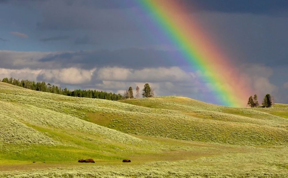 13 Symbolic Meanings of Dreaming of a Rainbow