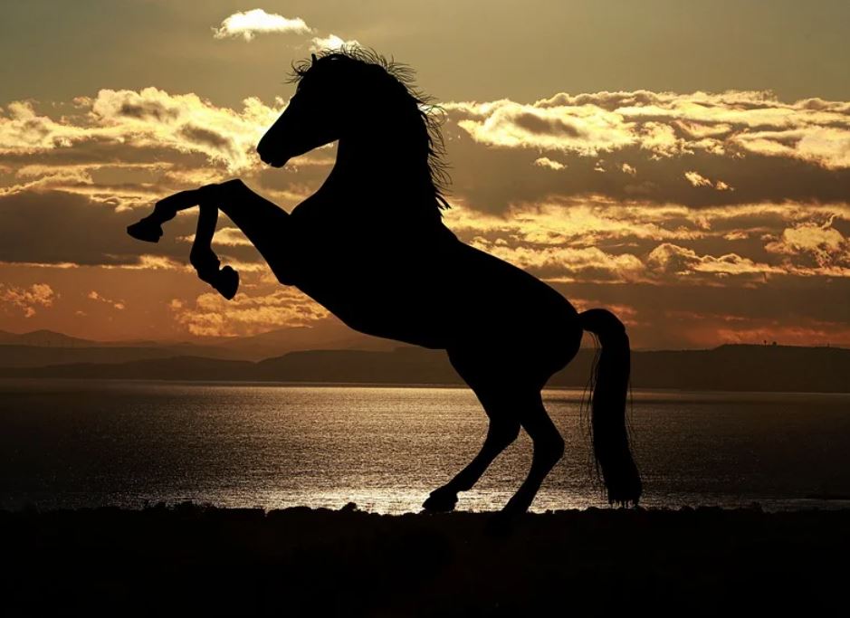 22 symbolic meanings of dreaming about horses