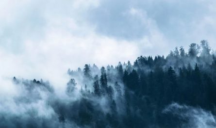19 Symbolic Meanings of Dreaming of Dense Fog