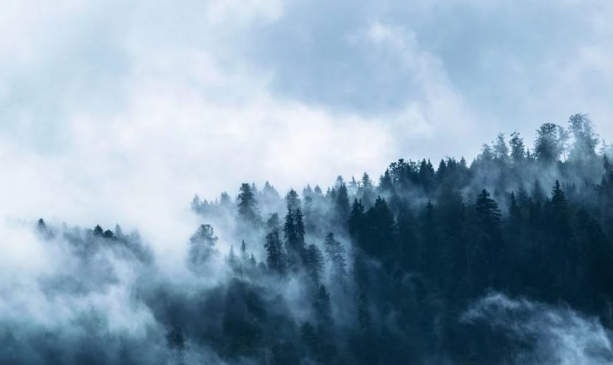 19 Symbolic Meanings of Dreaming of Dense Fog