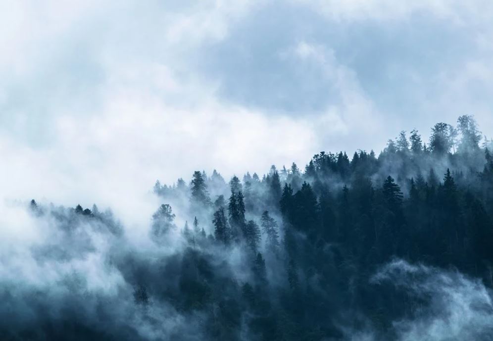 19 Symbolic Meanings of Dreaming of Dense Fog