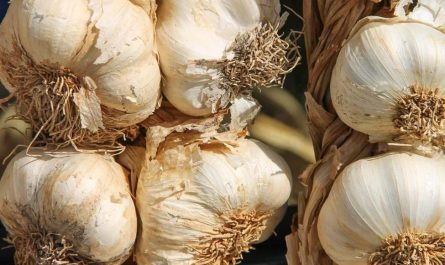 16 symbolic meanings of dreaming about eating garlic
