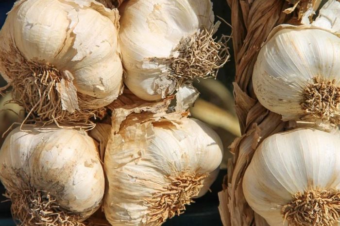 16 symbolic meanings of dreaming about eating garlic
