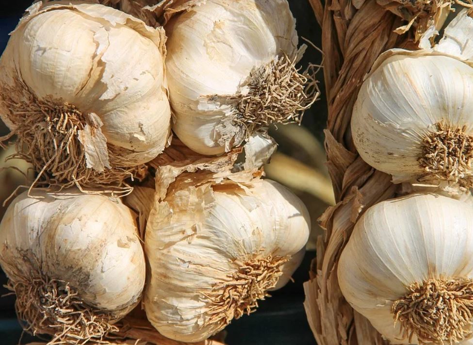 16 symbolic meanings of dreaming about eating garlic