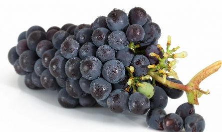 12 symbolic meanings of dreaming about picking grapes