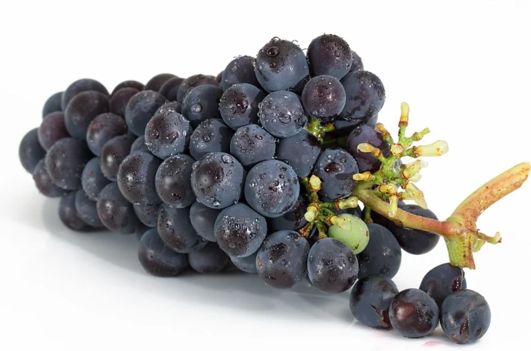 12 symbolic meanings of dreaming about picking grapes