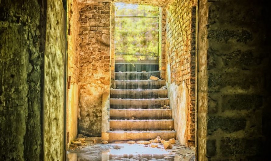 23 symbolic meanings of dreaming about a basement