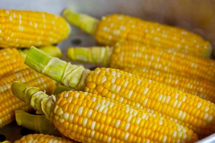 18 symbolic meanings of dreaming about unharvested corn