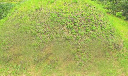 12 symbolic meanings of dreaming about digging a grave