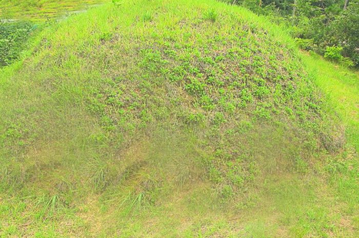 12 symbolic meanings of dreaming about digging a grave