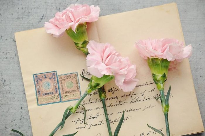24 symbolic meanings of dreaming about letters
