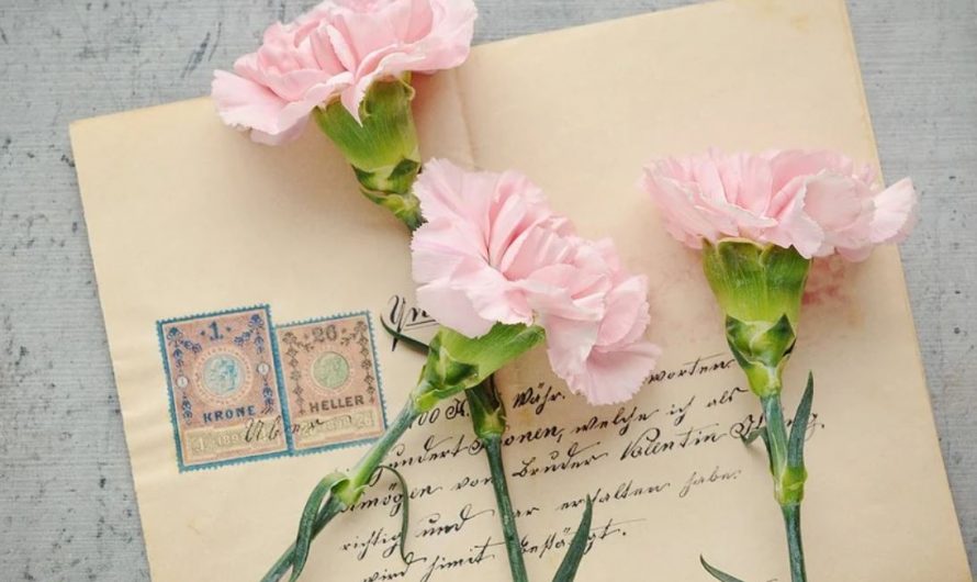 24 symbolic meanings of dreaming about letters