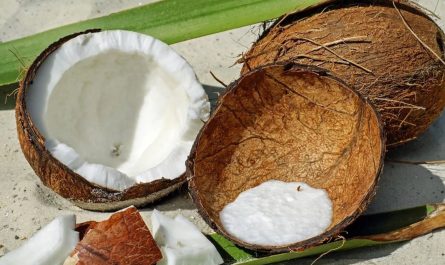 20 symbolic meanings of dreaming about eating coconuts