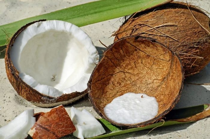 20 symbolic meanings of dreaming about eating coconuts