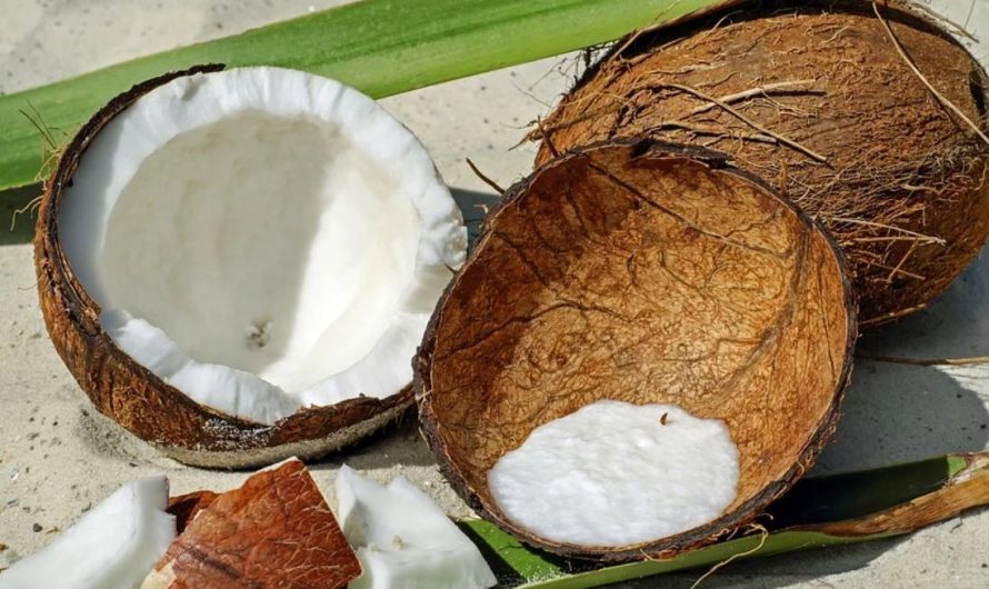 20 symbolic meanings of dreaming about eating coconuts