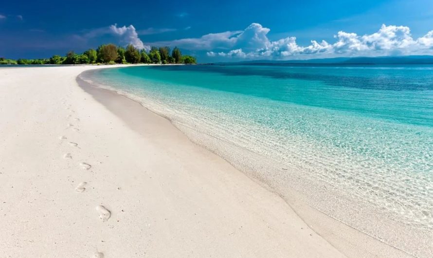 26 symbolic meanings of dreaming about the beach