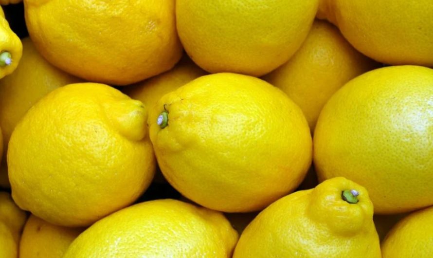 21 symbolic meanings of dreaming about lemons