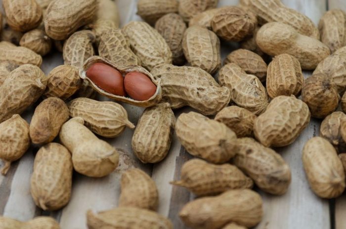 15 Symbolic Meanings of Dreaming About Peanuts