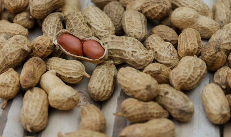 15 Symbolic Meanings of Dreaming About Peanuts