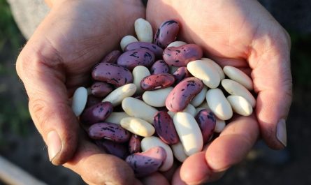 22 symbolic meanings of dreaming about beans