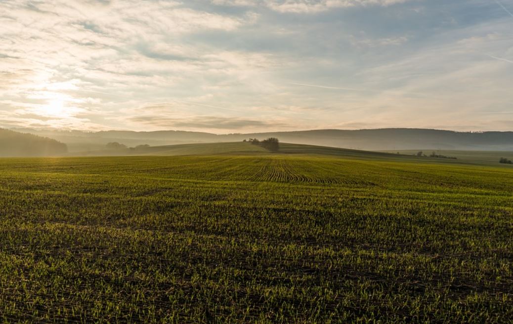 21 symbolic meanings of dreaming about fields