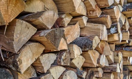 14 Symbolic Meanings of Dreaming of Firewood
