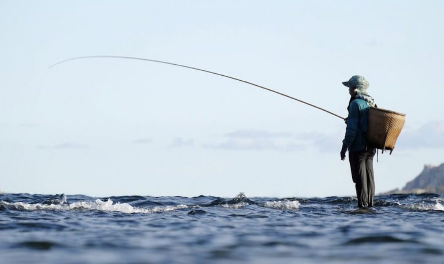 24 symbolic meanings of dreaming about fishing