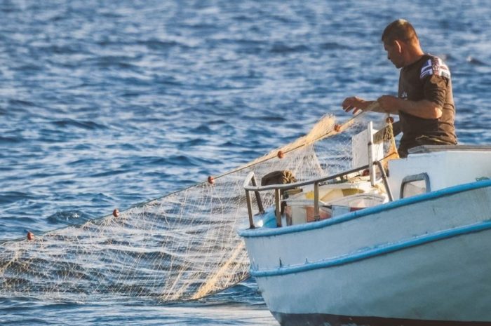 20 symbolic meanings of dreaming about fishing nets