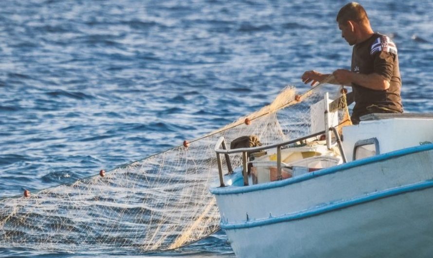 20 symbolic meanings of dreaming about fishing nets