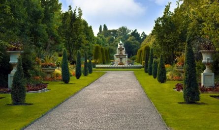 19 Symbolic Meanings of Dreaming of a Garden