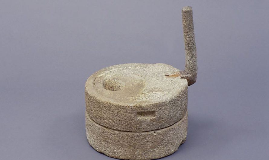 18 Symbolic Meanings of Dream about grinding discs