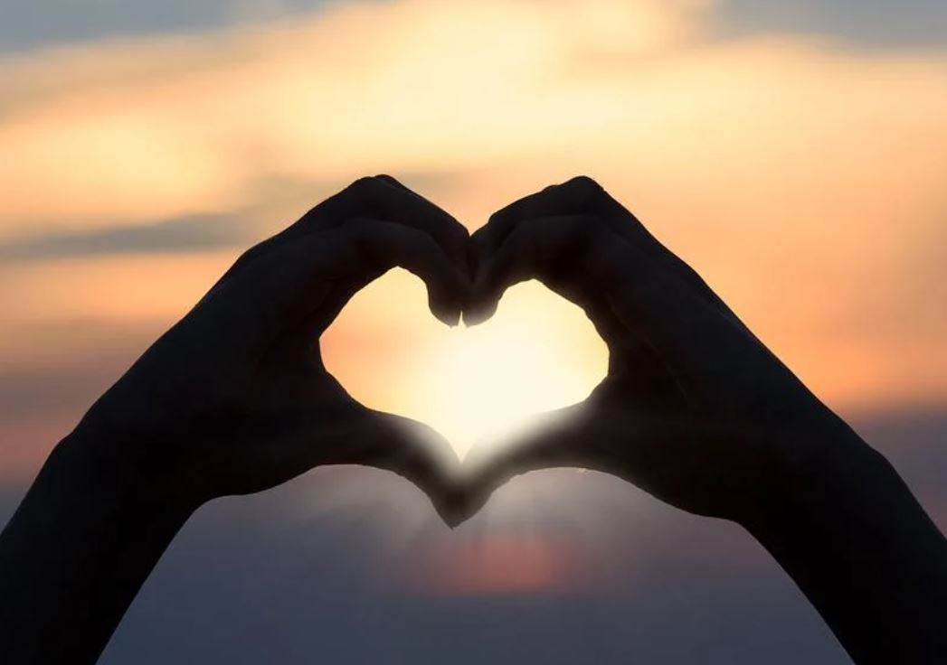 19 Symbolic Meanings of Dreaming About the Heart