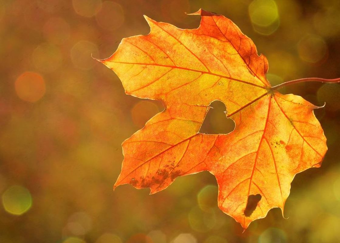 14 Symbolic Meanings of Dreaming About Missing Someone