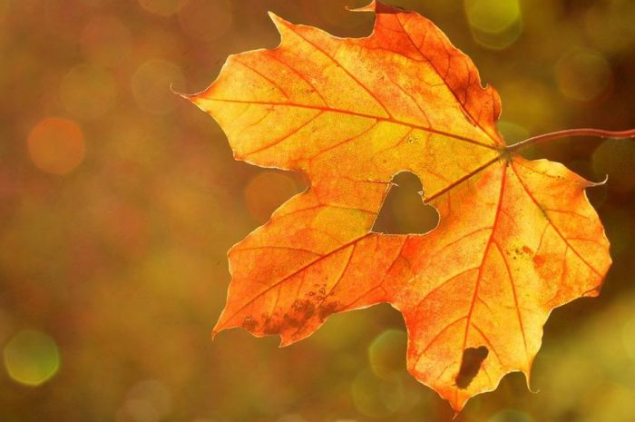 14 Symbolic Meanings of Dreaming About Missing Someone