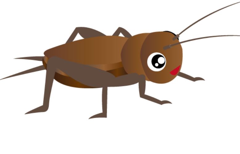 15 Symbolic Meanings of Dreaming of Crickets