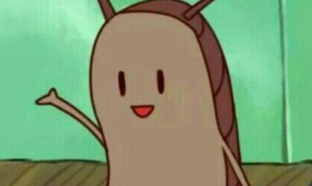 13 Symbolic Meanings of Dreaming About Pests