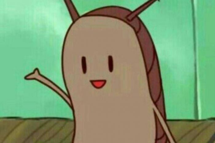 13 Symbolic Meanings of Dreaming About Pests