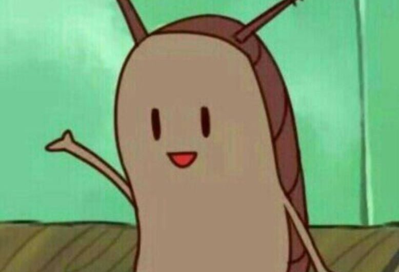 13 Symbolic Meanings of Dreaming About Pests