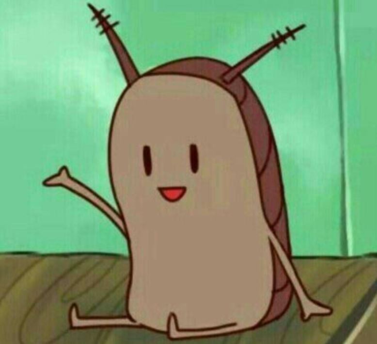 13 Symbolic Meanings of Dreaming About Pests